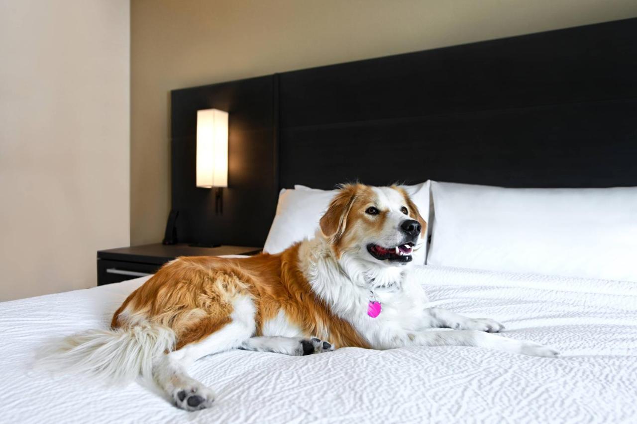 Residence Inn スティームボートスプリングス エクステリア 写真